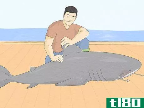 Image titled Get over Your Fear of Sharks Step 6