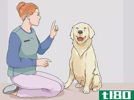 Image titled Have a Successful First Day with a New Dog Step 10