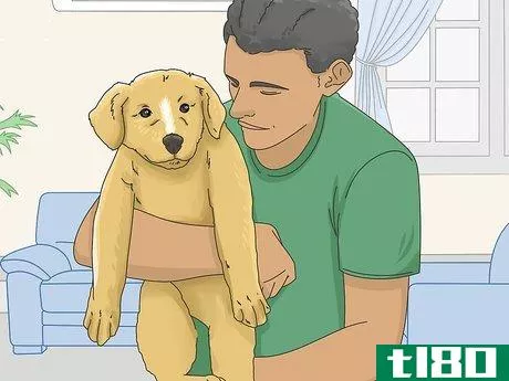 Image titled Get a Puppy to Stop Growling when You Pick Them Up Step 11