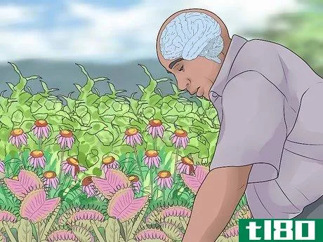 Image titled Improve Your Health by Gardening Step 11