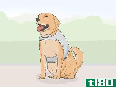 Image titled Identify a Service Dog Step 9