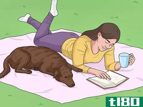 Image titled Hang Out with Your Dog Step 3