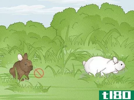 Image titled Hunt Rabbit Step 4