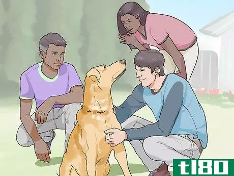 Image titled Introduce Your New Dog to the Neighbors Step 10