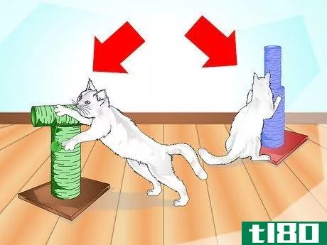 Image titled Get Your Cat to Use a Scratching Post Step 4