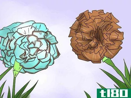 Image titled Help Carnations Make a Comeback Step 1