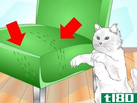 Image titled Get Your Cat to Use a Scratching Post Step 12