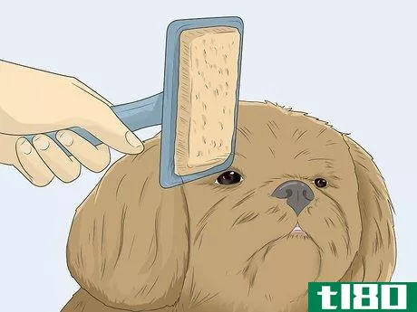 Image titled Groom a Dog's Face Step 1