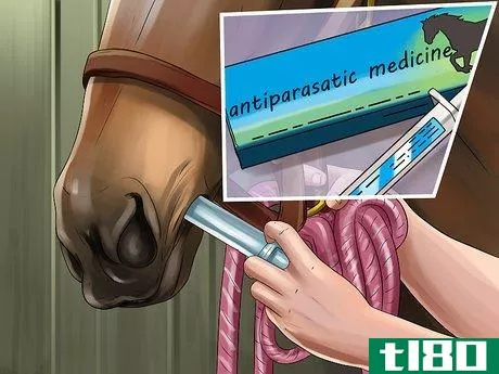 Image titled Get Rid of Strongyle Infestations in Horses Step 4