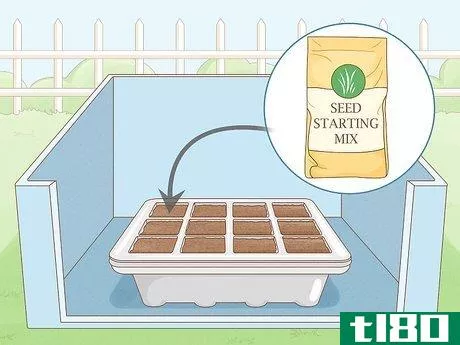 Image titled Grow Tobacco Inside Step 2