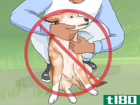 Image titled Handle Dog Begging for Food Step 2