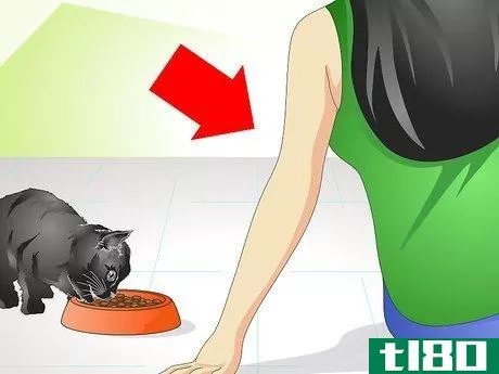 Image titled Help a New Kitten Become Familiar with Your Home Step 10