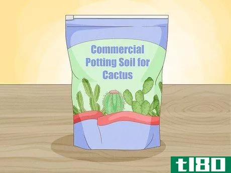 Image titled Grow Cactus in Containers Step 5