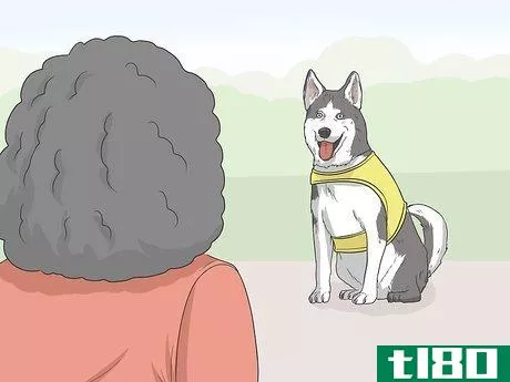 Image titled Identify a Service Dog Step 6