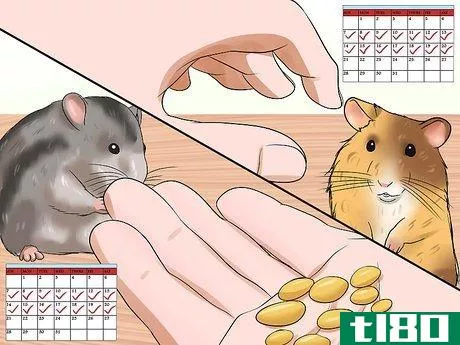 Image titled Handle a Hamster Without Being Bitten Step 14