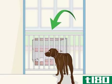 Image titled Keep Pet Rats Safe Around Other Pets Step 7