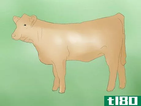 Image titled Help a Cow Give Birth Step 1