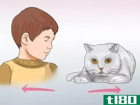 Image titled Know if a Child Is Allergic to Cats Step 4