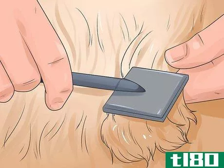 Image titled Groom a Longhair Dog Step 2