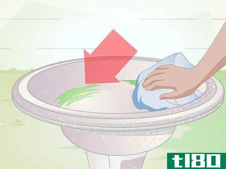 如何防止水藻在鸟浴中生长(keep algae from growing in bird bath)