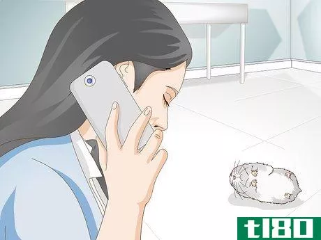Image titled Get a Hamster to Sleep Step 15