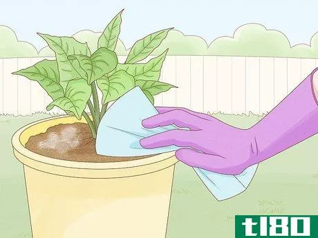Image titled Get Rid of Mold on Houseplants Step 7