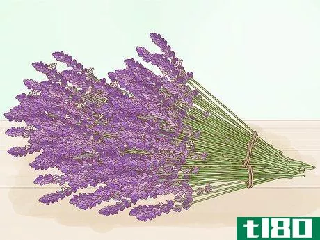 Image titled Harvest Lavender Step 4