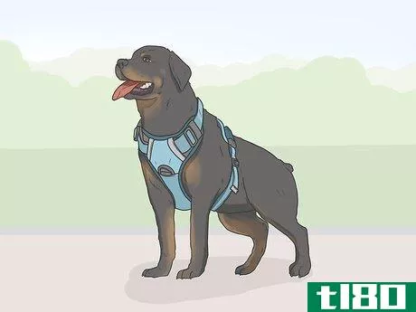 Image titled Identify a Service Dog Step 3