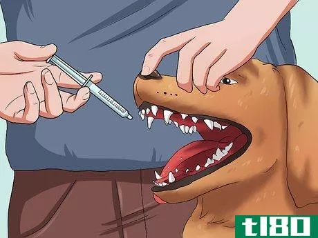Image titled Get Your Dog to Swallow a Pill Step 7