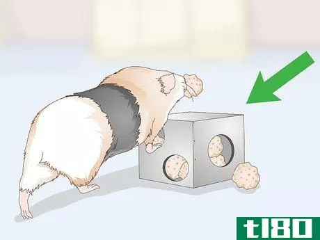 Image titled Give Your Guinea Pig Treats Step 8