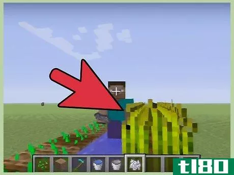 Image titled Grow Wheat in Minecraft Step 8