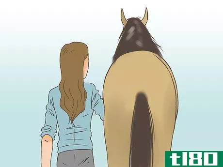 Image titled Get a Horse Fit Step 3
