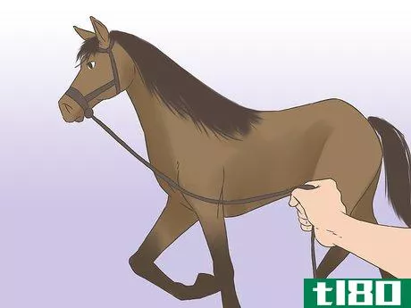 Image titled Get a Horse Fit Step 2