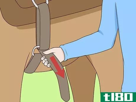Image titled Get Your Horse to Stand Still for Mounting Step 2