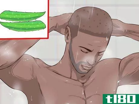 Image titled Grow and Use Aloe Vera for Medicinal Purposes Step 9