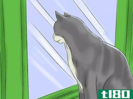 Image titled Help a Cat with Epileptic Seizures Step 10