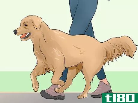 Image titled Keep Elderly Family Safe Around Active Dogs Step 1