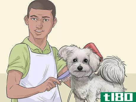 Image titled Include Dog Care in Your Household Chore Calendar Step 9