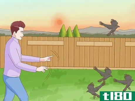 Image titled Get Rid of Crows Step 11