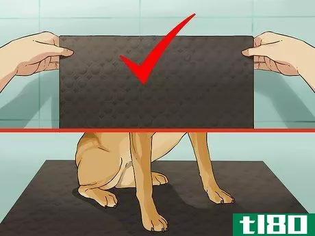 Image titled Give a Small Dog a Bath Step 4
