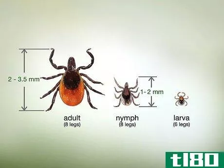 Image titled Identify a Deer Tick Step 2