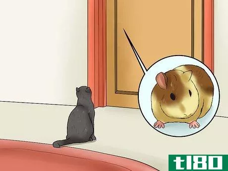 Image titled Keep Guinea Pigs when You Have Cats Step 2
