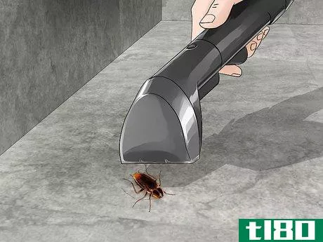 Image titled Kill Household Bugs Step 6