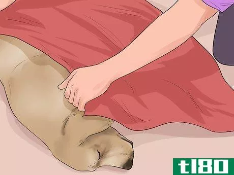 Image titled Give First Aid to an Electrocuted Animal Step 2