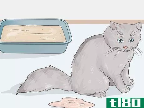 Image titled Help a Cat with Anxiety Step 16