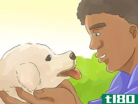 Image titled Help Your Dog Live Longer Step 18