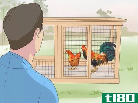 Image titled Introduce a Dog to Pet Chickens Step 3