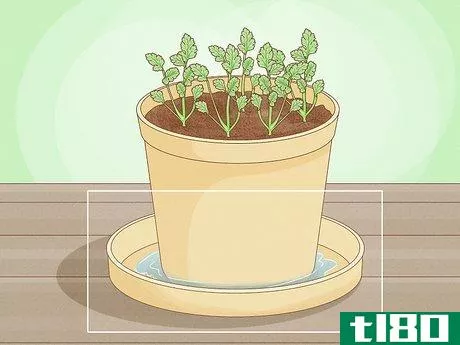 Image titled Grow an Herb Garden Indoors Year Round Step 14