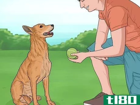 Image titled Hang Out with Your Dog Step 2