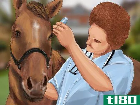 Image titled Insure Your Horse Step 16